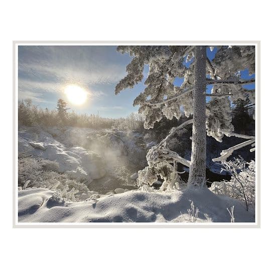 Panopticon album 2025