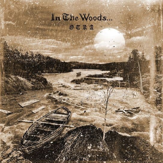 In The Woods…