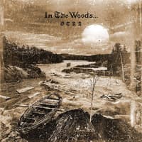 In The Woods…