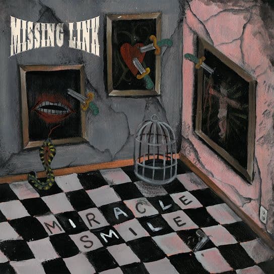 Missing Link Miracle Smile