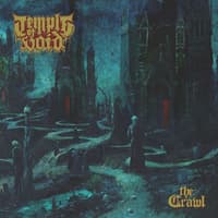 Temple Of Void