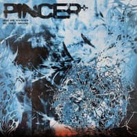12 Pincer+