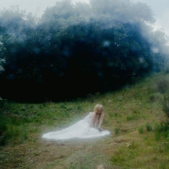 Wisp If Not Winter 2025