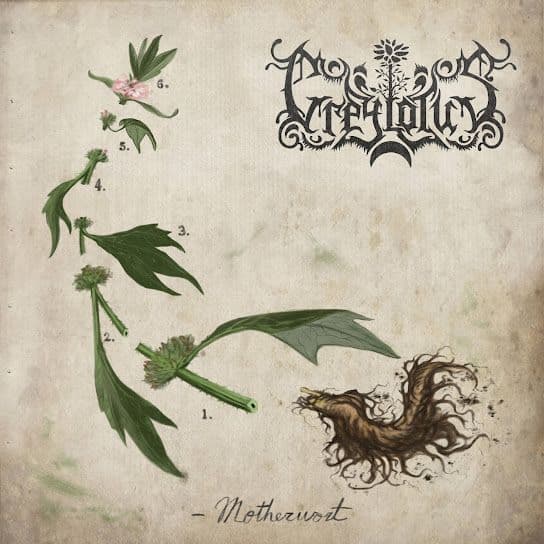 Greylotus album nou decembrie 2024