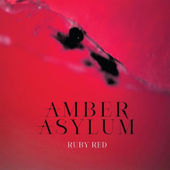 Amber Asylum