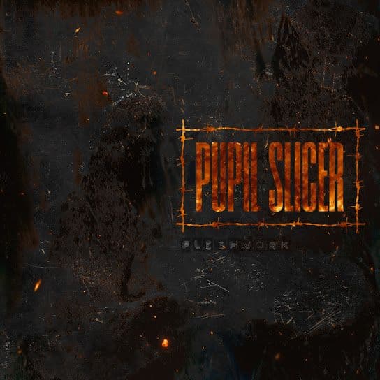 Pupil Slicer