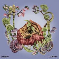 Darko