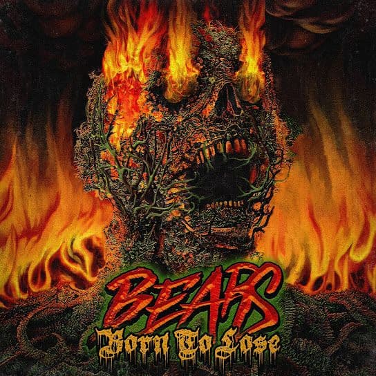 Bears