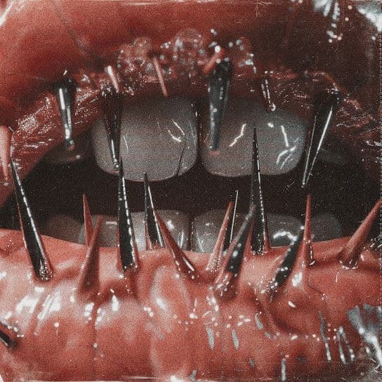 Saltwound album noiembrie 2024